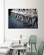 Obraz Baletná škola zs1253